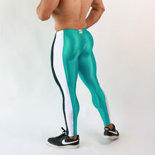 Load image into Gallery viewer, *SHAPEFIT TIGHTS
